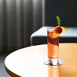 酒店 波尔图盖亚黑郁金香酒店
