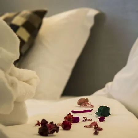 Black Tulip - Porto Gaia Hotel
