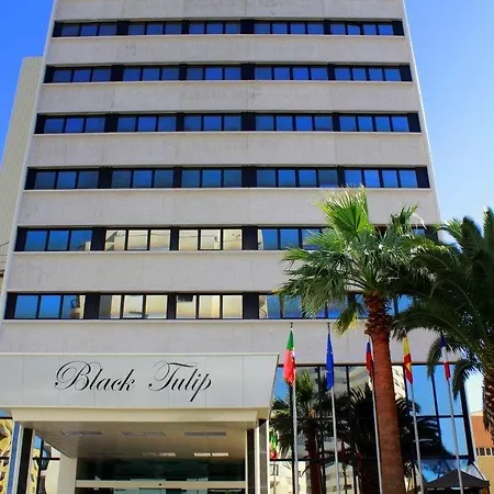 فندق بلاك توليب - بورتو غايا