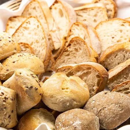 بلاك توليب - بورتو غايا فندق 4*