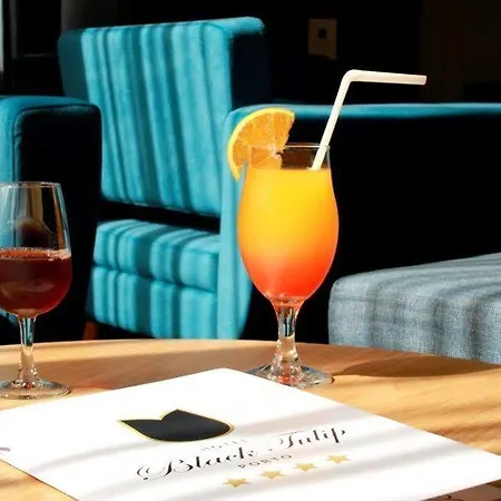 Black Tulip - Porto Gaia 4* Vila Nova de Gaia