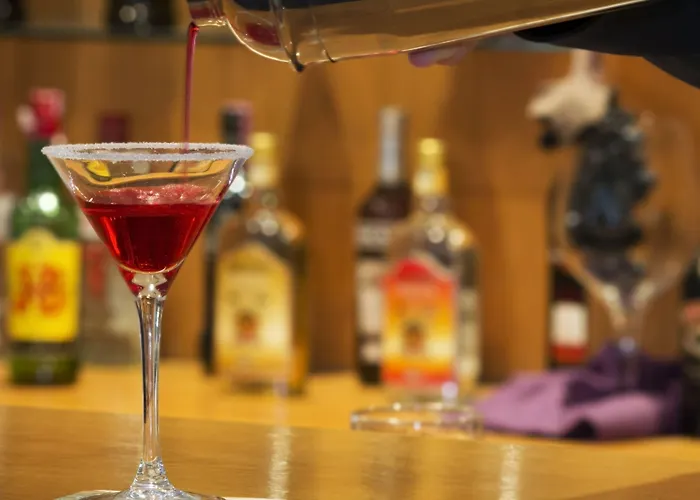 Black Tulip - Porto Gaia Hotel Vila Nova de Gaia