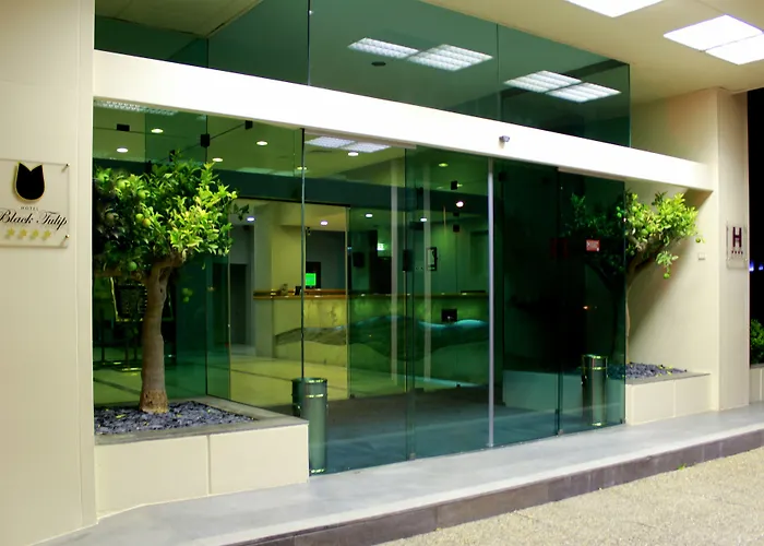 Hotel Black Tulip - Porto Gaia