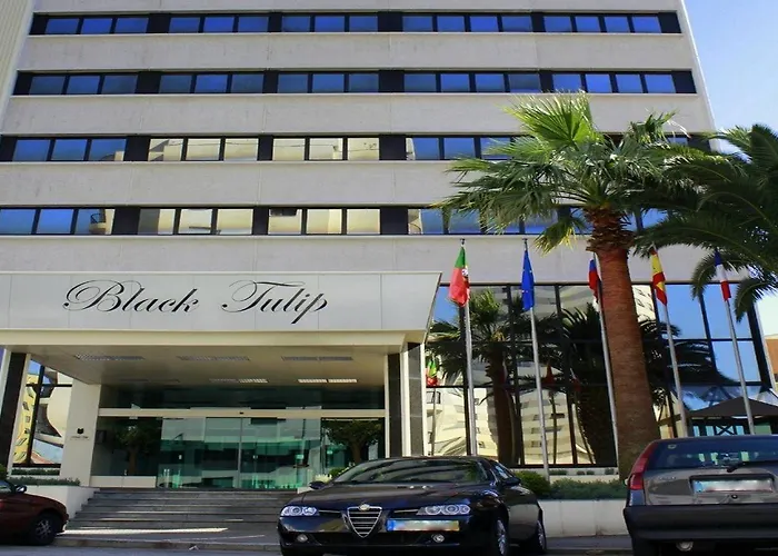 Black Tulip - Porto Gaia