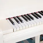 Black Tulip - Porto Gaia Hotel 4*