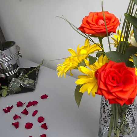 Black Tulip - Porto Gaia Hotel