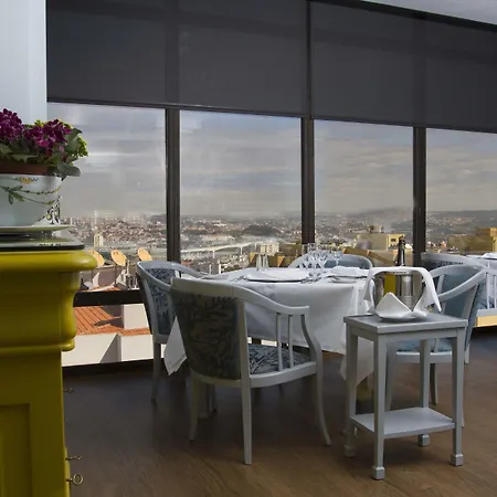 Black Tulip - Porto Gaia