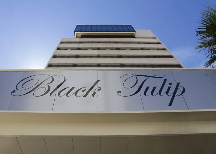 Black Tulip - Porto Gaia Hotel 4*