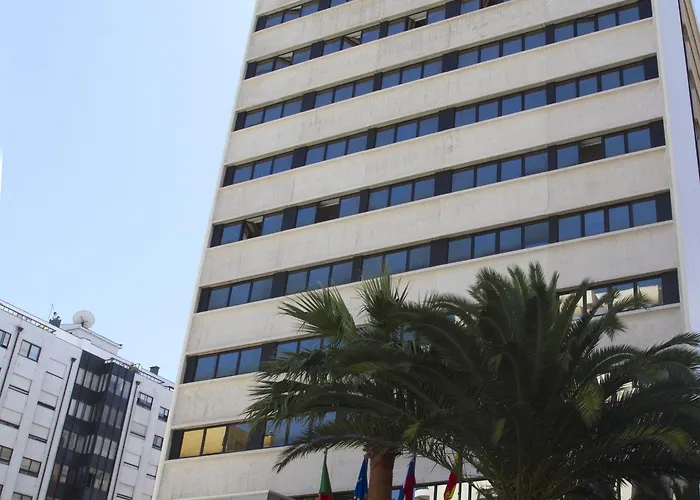 Black Tulip - Porto Gaia