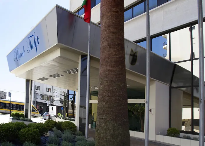 Black Tulip - Porto Gaia 4*